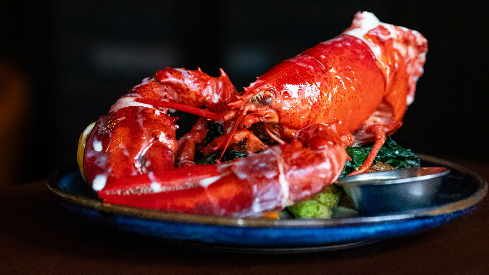Live Whole Lobster