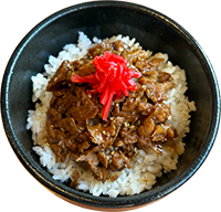 Vegan Daily Mini Donburi