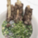 Rice Noodles Soup with Beef Back Rib