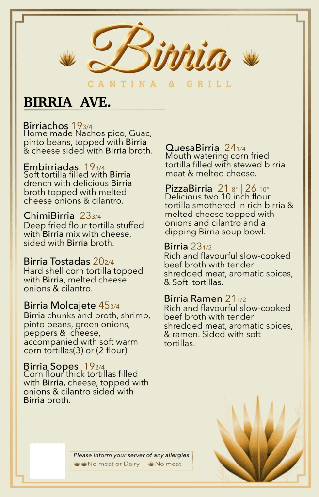 Birria Burrito