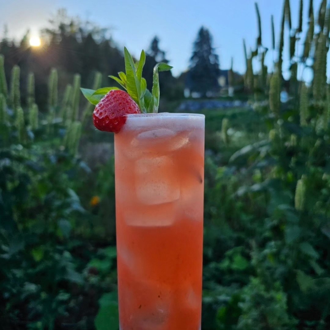 Twin Islands Quincette