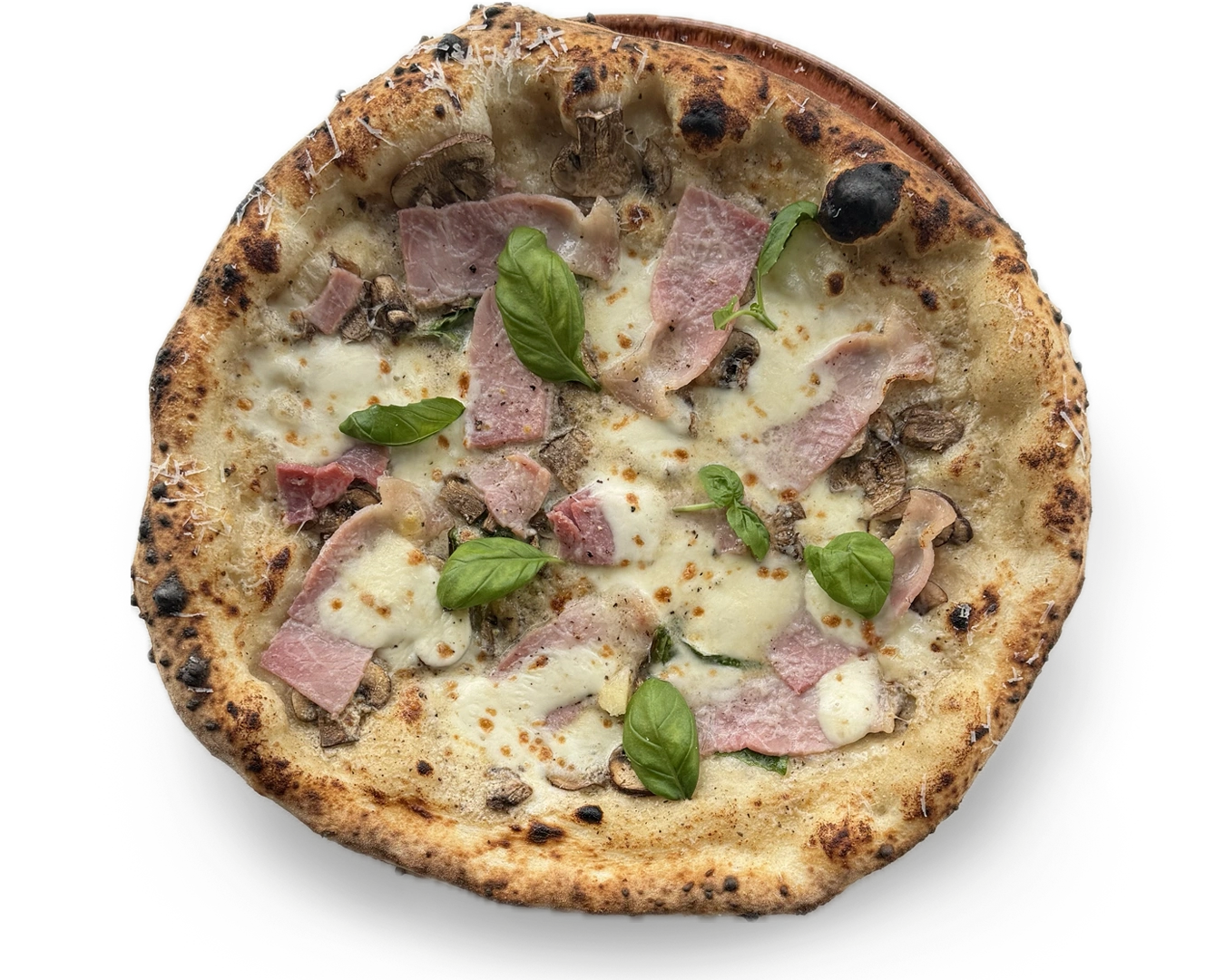 Cotto + Funghi + Tartufo