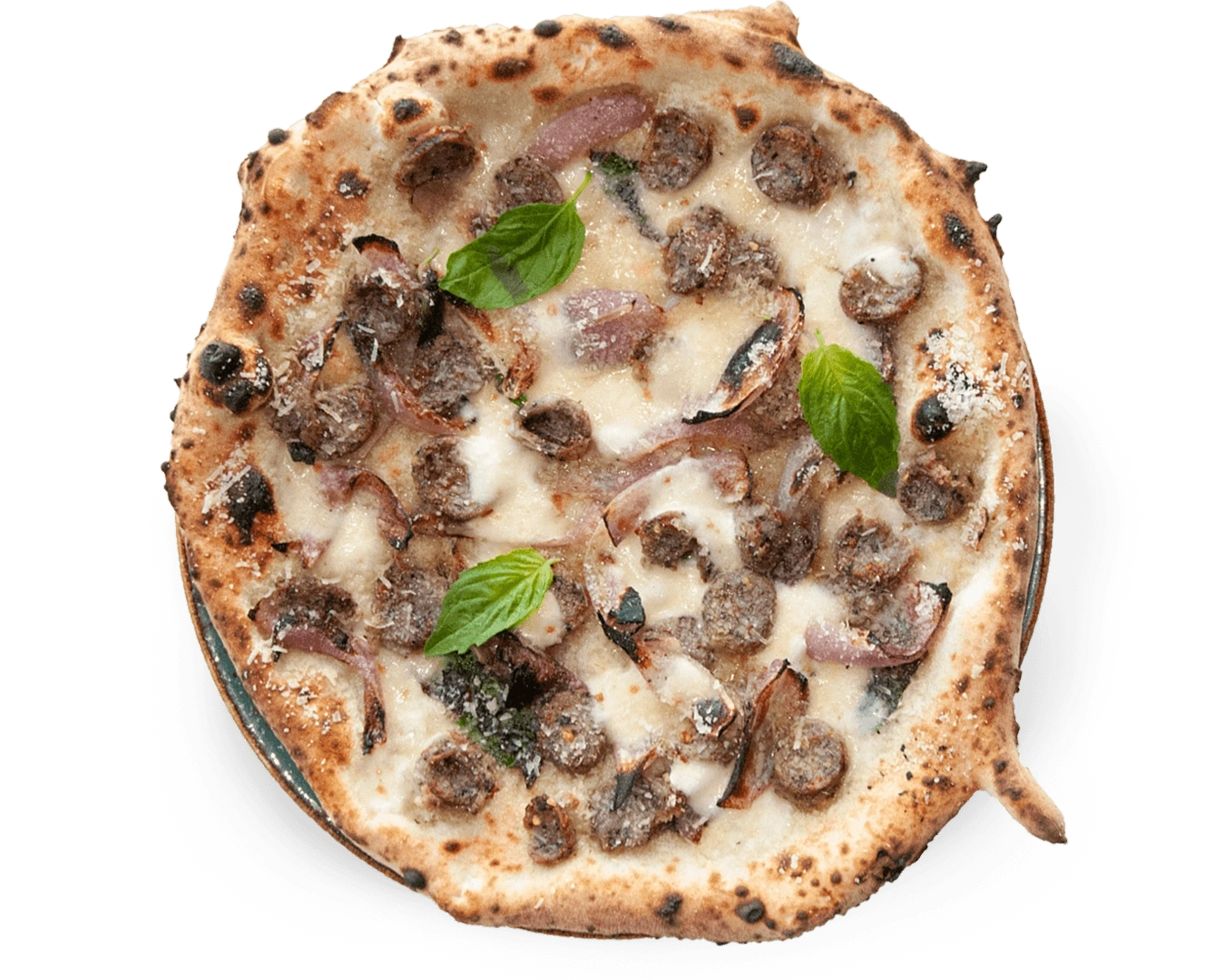 Salsiccia