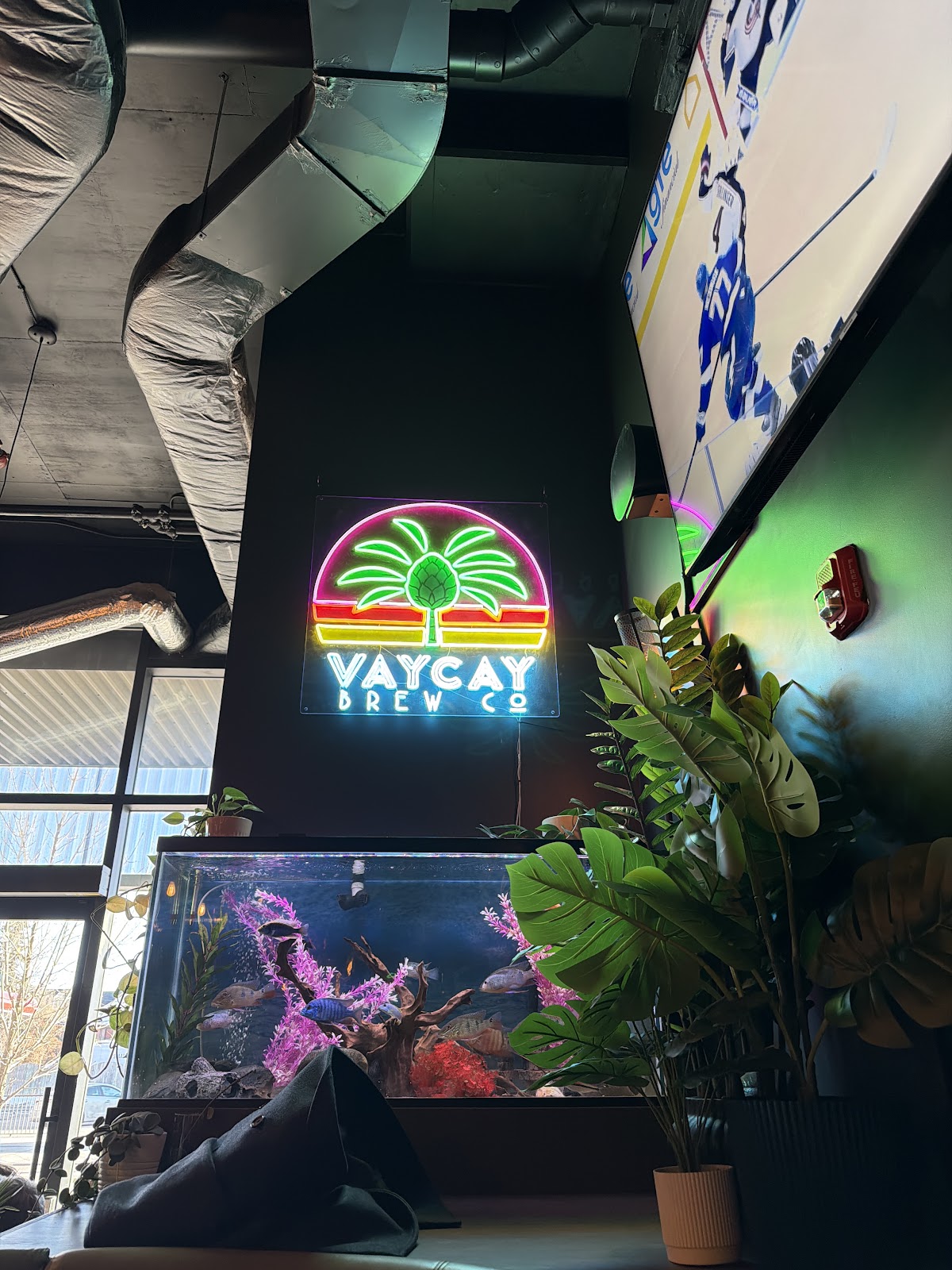 Vaycay Brew Pub — gallery photo 1