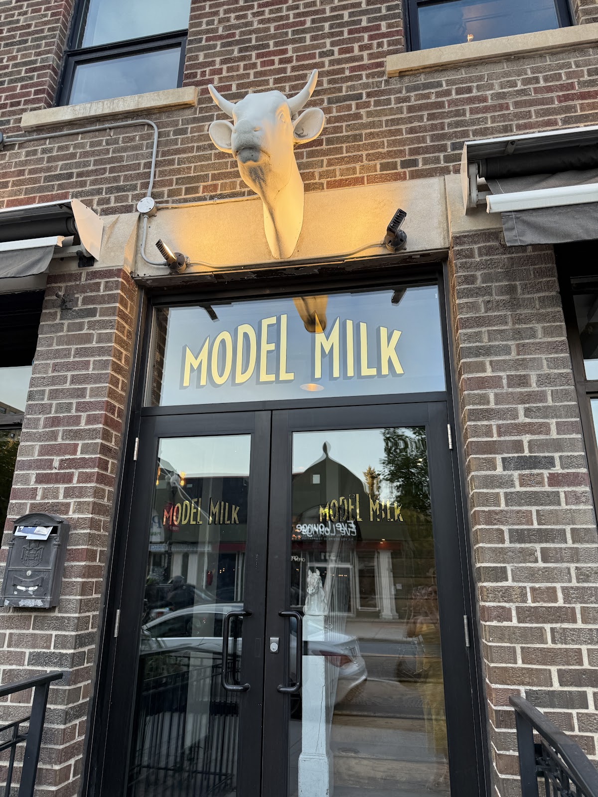 Model Milk — gallery photo 2