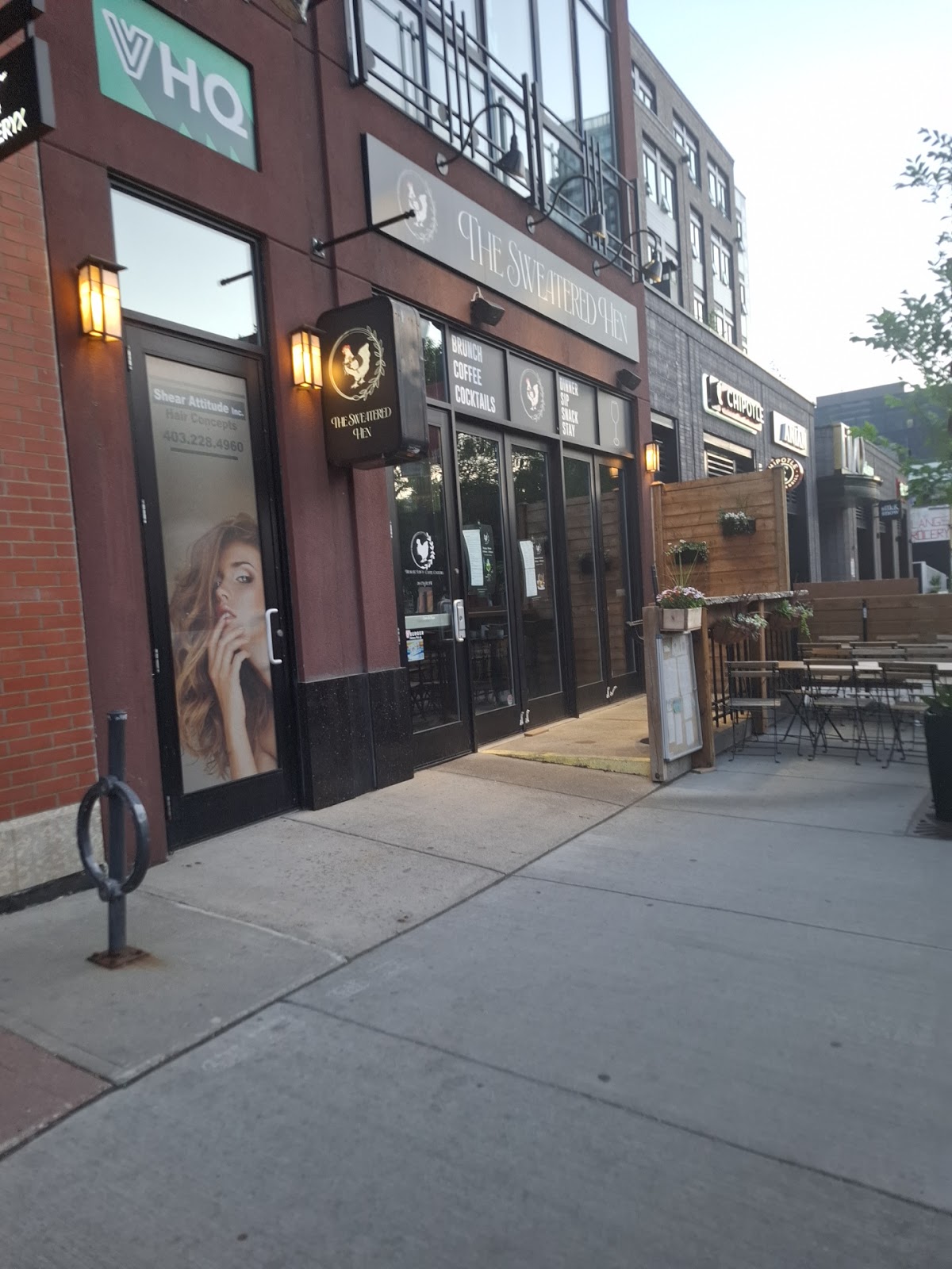 The Sweatered Hen — gallery photo 2