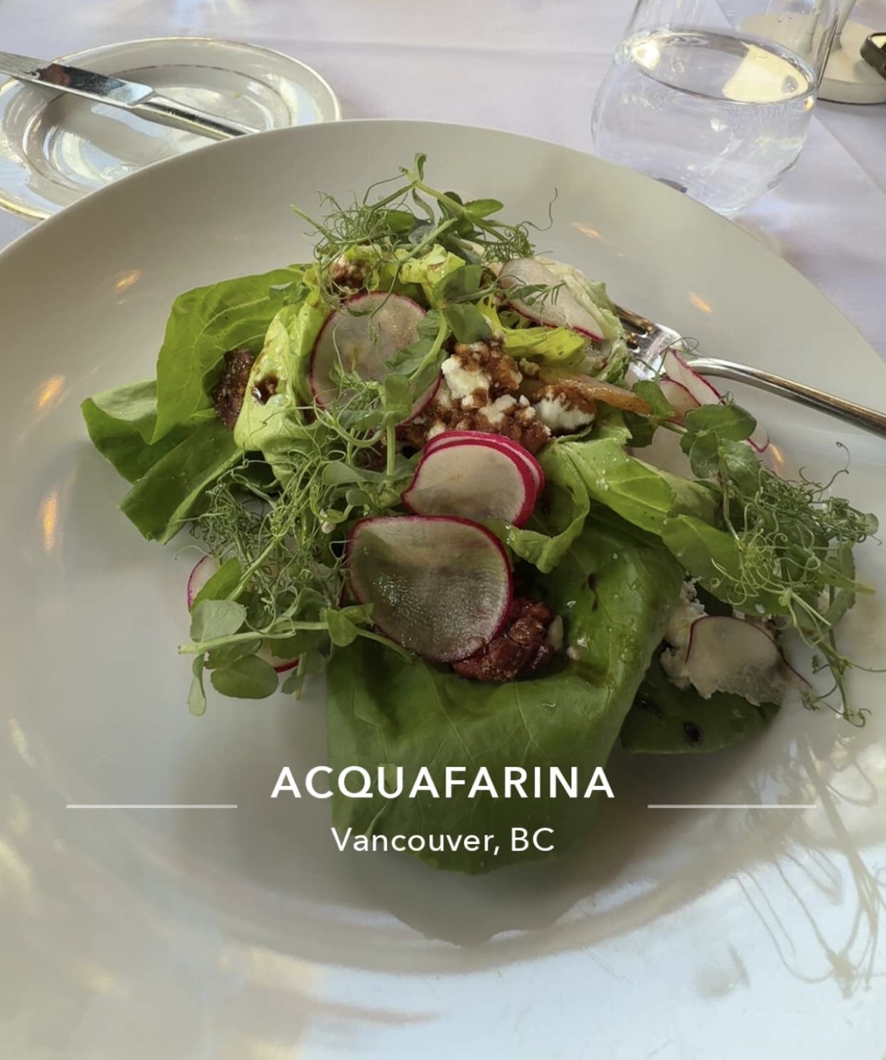 acquafarina — gallery photo 1